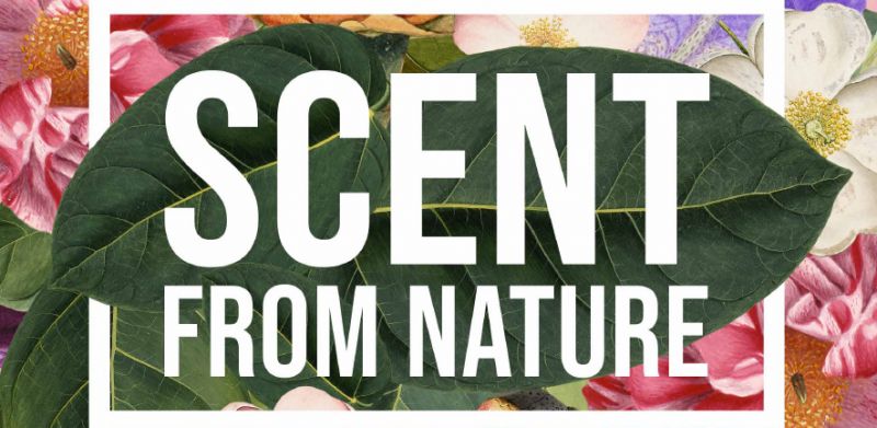 Featured image for the project: Scent from Nature: Beauty’s botanical origins